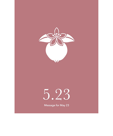 草紙堂　花結びメッセージカード　5月23日