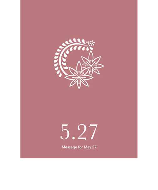 草紙堂　花結びメッセージカード　5月27日