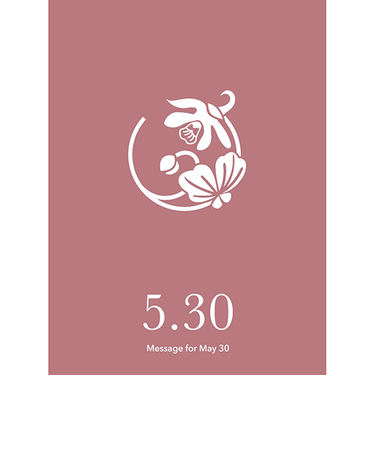 草紙堂　花結びメッセージカード　5月30日