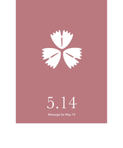 草紙堂 花結びメッセージカード 5月14日