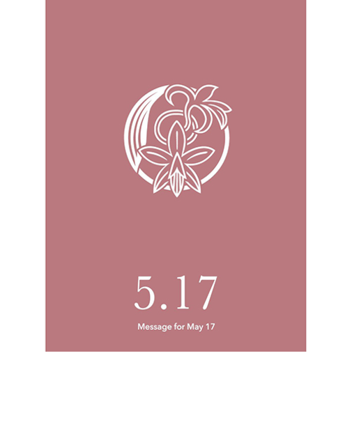 草紙堂　花結びメッセージカード　5月17日