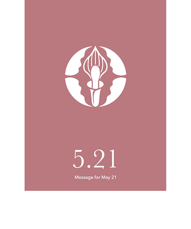 草紙堂　花結びメッセージカード　5月21日