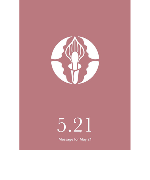 草紙堂　花結びメッセージカード　5月21日