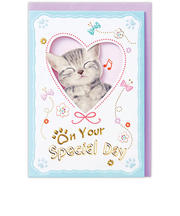 ホールマーク(Hallmark) 誕生お祝い 立体カード ハッピーメイト 840259 アメリカンショートヘアー