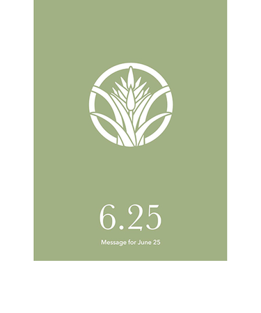 草紙堂　花結びメッセージカード　6月25日