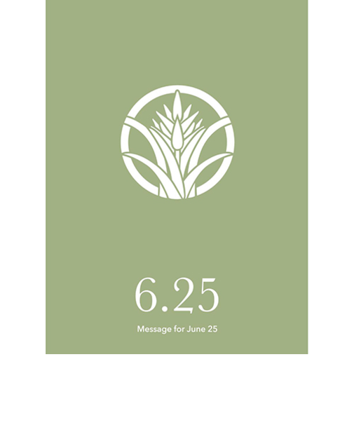 草紙堂　花結びメッセージカード　6月25日