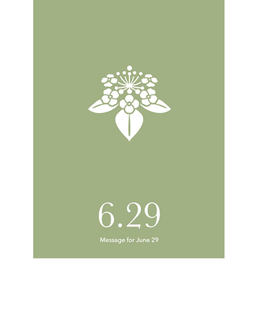 草紙堂　花結びメッセージカード　6月29日