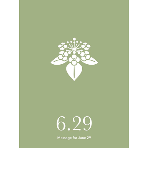 草紙堂　花結びメッセージカード　6月29日