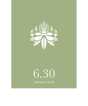 草紙堂　花結びメッセージカード　6月30日