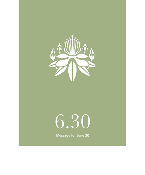 草紙堂　花結びメッセージカード　6月30日