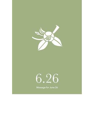 草紙堂　花結びメッセージカード　6月26日