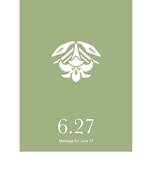 草紙堂　花結びメッセージカード　6月27日