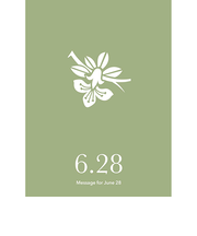 草紙堂　花結びメッセージカード　6月28日