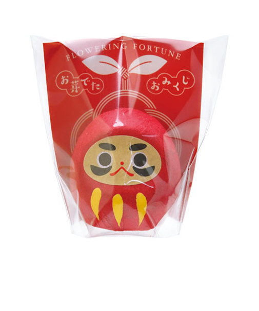 聖新陶芸　おめでたおみくじ　だるま赤　GD328－1
