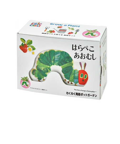 聖新陶芸　はらぺこあおむし　わくわく陶器ポットガーデン　HP06-02　ワイルドストロベリー