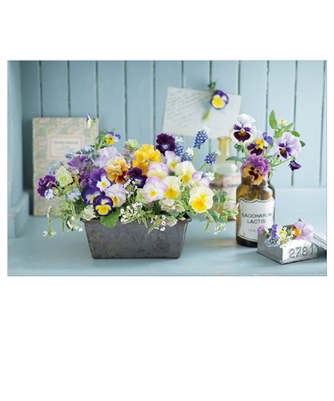 アクティブコーポレーション　フラワーポストカード　A12－PE－271