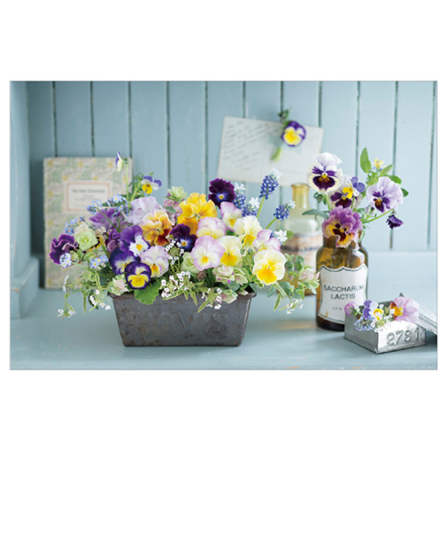 アクティブコーポレーション　フラワーポストカード　A12－PE－271