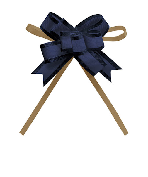 インディゴ　ボウリボン　PR758　トリアノン　ネイビーブルー