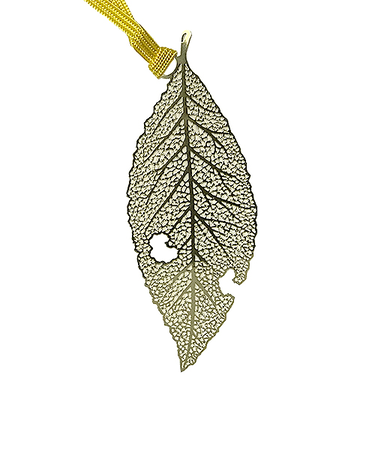 きんのしおり　落ち葉　A003