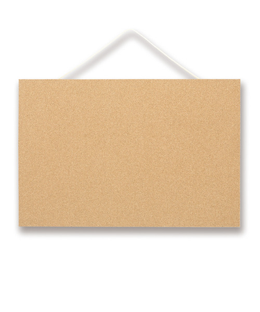 アスカ（Asmix）　枠無しマグピンコルクボード　M　CB346