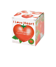 聖新陶芸 ハートマト栽培セット GD1032