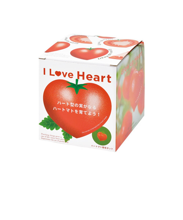 聖新陶芸　ハートマト栽培セット　GD1032