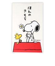 日本ホールマーク　ポチ袋SNほんのきもち2　820015