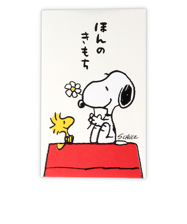 日本ホールマーク　ポチ袋SNほんのきもち2　820015