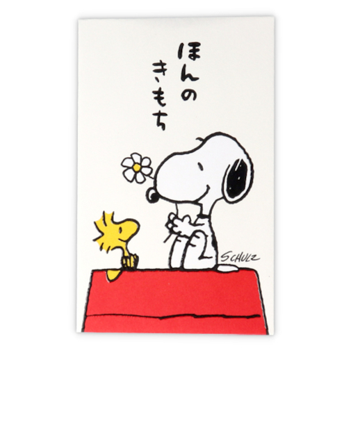 日本ホールマーク　ポチ袋SNほんのきもち2　820015