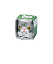 聖新陶芸　おちょこで猫草　GD1029－4　グレー