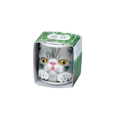 聖新陶芸　おちょこで猫草　GD1029－4　グレー