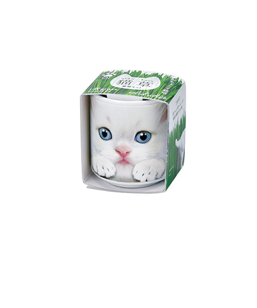 聖新陶芸　おちょこで猫草　GD1029－1　白