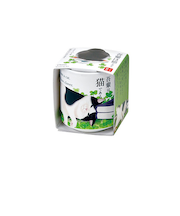 聖新陶芸　お芽でたおちょこ吾輩猫　GD1028－4　クローバー