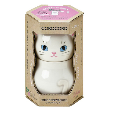 聖新陶芸　コロコロキャット　GD1026－3　ワイルドストロベリー