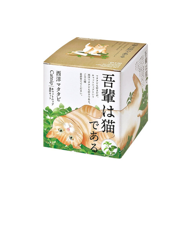 聖新陶芸　西洋マタタビ栽培キット　GD1027