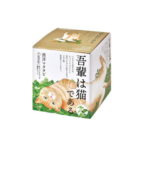 聖新陶芸　西洋マタタビ栽培キット　GD1027