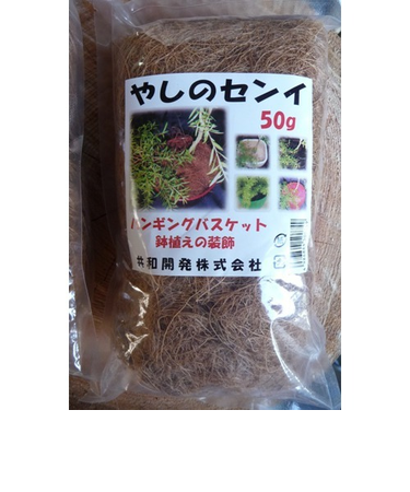 カラーヤシ繊維　茶　50g