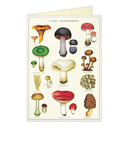 カバリーニ（CAVALLINI）　グリーティングカード　キノコ