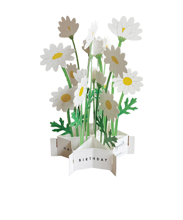 グリーティングライフ　バースデーブルーミングカード　KE－32　マーガレット