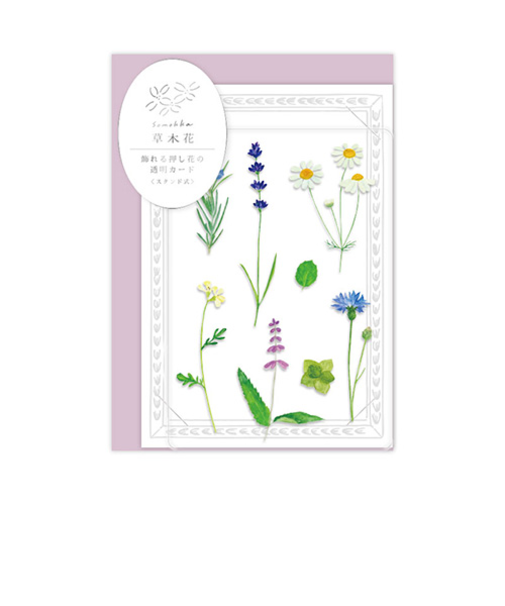 リュリュ　草木花　多目的カード　SMTC－04　ハーブ