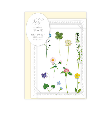 リュリュ　草木花　多目的カード　SMTC－02　ノノハナ