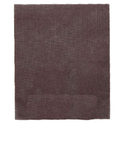 三共理化学　アミ目両面やすり　＃80