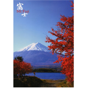 エヌ・ビー・シー　紅葉の富士　富士－032