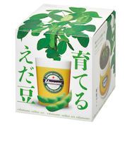 聖新陶芸　えだ豆栽培セット　GD979