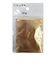 藤井漆工芸　代用金消紛　10g