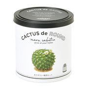 聖新陶芸　カクタスdeカクタス　丸サボテン