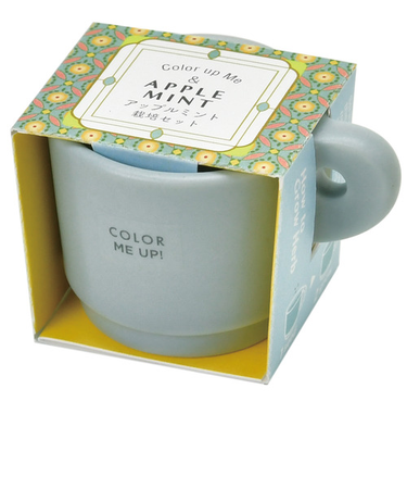 聖新陶芸　カラーミーアップマグ　アップルミント　GD969ー1