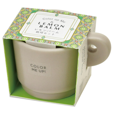 聖新陶芸　カラーミーアップマグ　　レモンバーム　GD969ー2