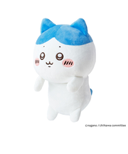 ドリームズ　ふんばるず　ハチワレ