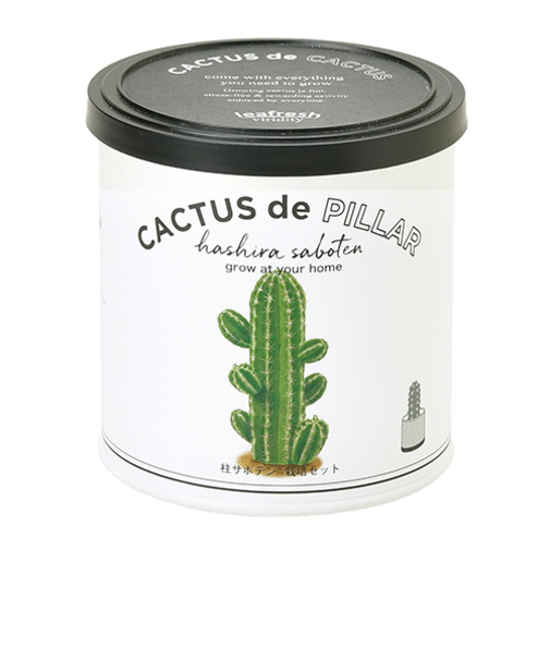 聖新陶芸　カクタスdeカクタス　柱サボテン